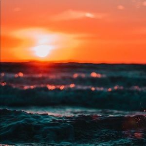 Meet your Posher, Hayden